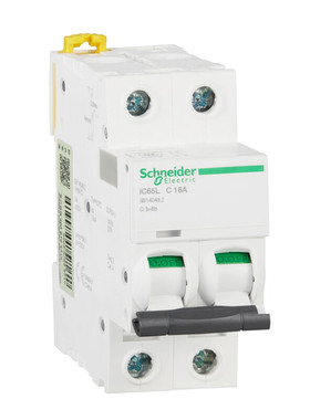 施耐德电气小型断路器 iC65L 2P C16A A9F38216
