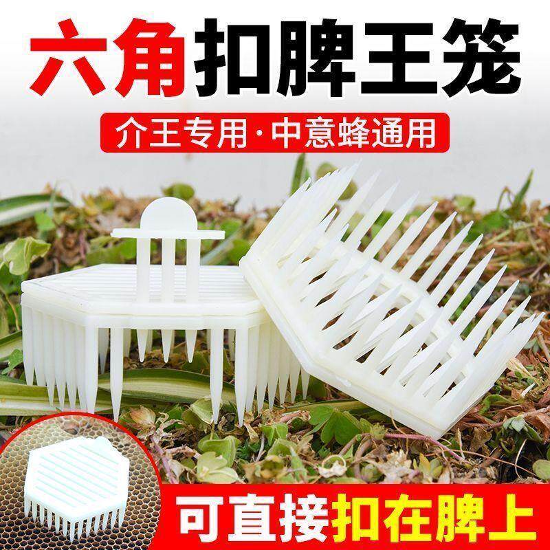 六角针式王笼多功能囚王笼介王植入蜂王中蜂意蜂通用关王分蜂王笼