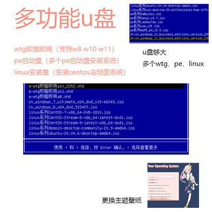 wtg即插即用u盘  pe安装系统盘  linux centos 乌班图安装系统