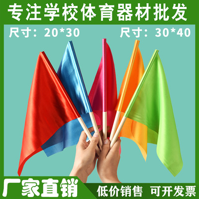 幼儿园儿童手旗课间操早操旗子小彩旗舞蹈表演红旗运动会手摇旗