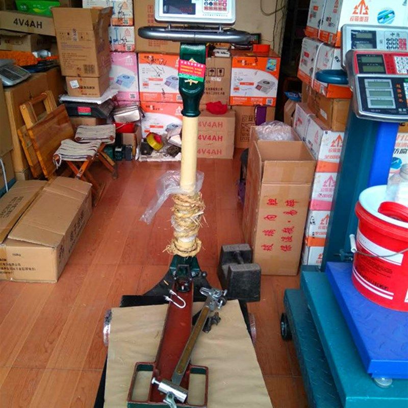 电子秤表头 机改仪表 电机械磅秤电子秤计价称台称地磅电子秤仪表