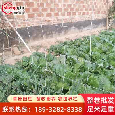 厂销新养牛栏网不锈钢丝网养殖护栏网养鸡护围栏网果园圈地网铁品