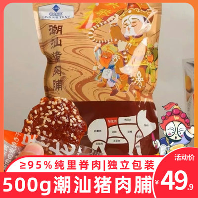 零食特区潮汕猪肉脯500g