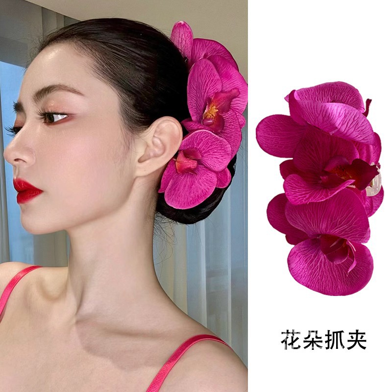 明媚氛围感~玫红蝴蝶兰大抓夹