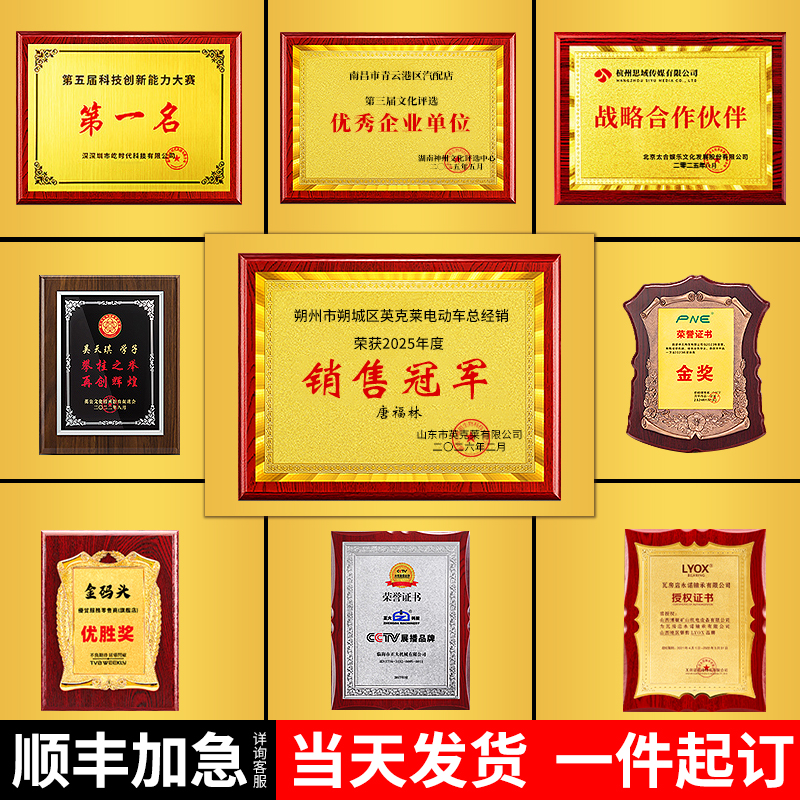 奖牌定制定做代理授权荣誉展示牌