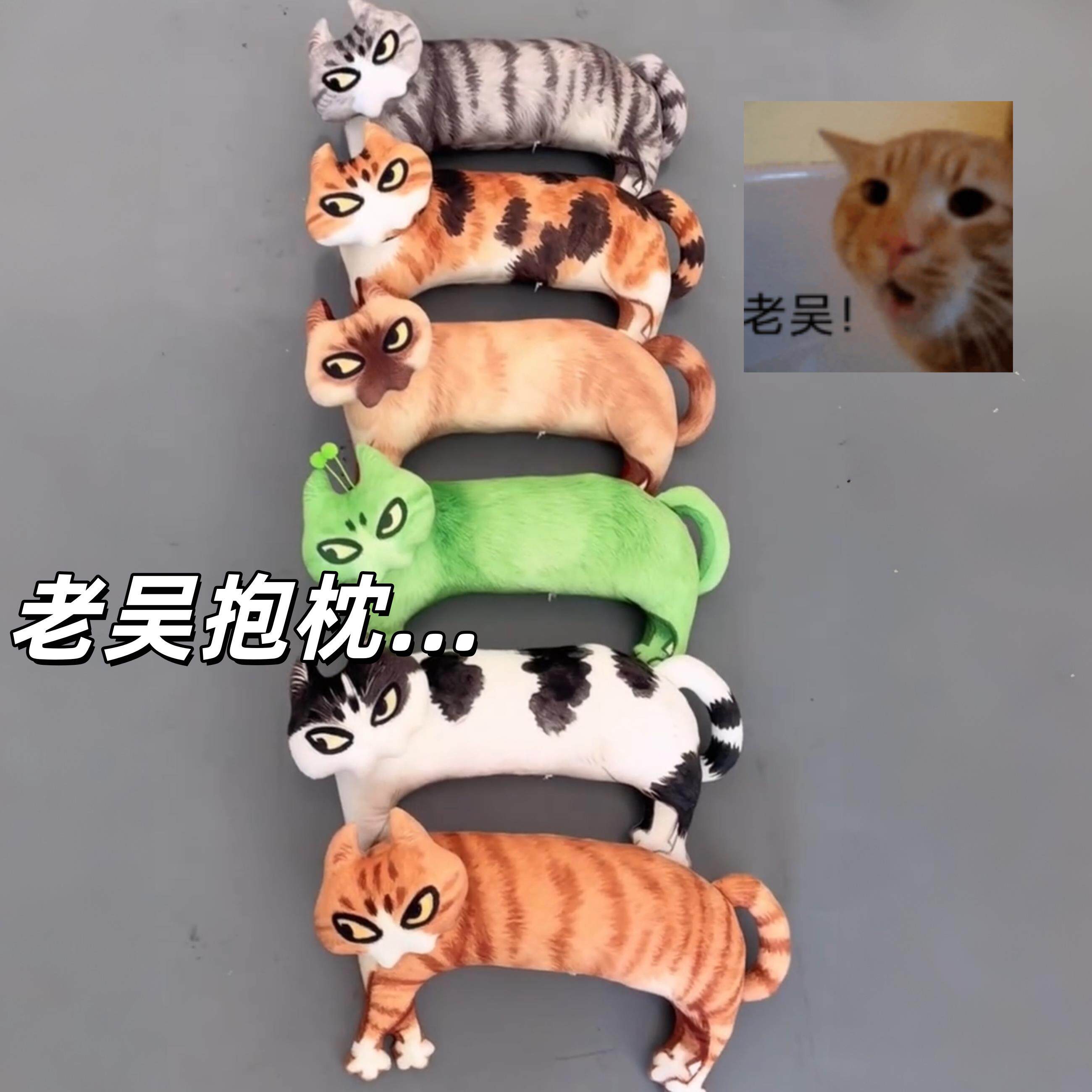 老吴抱枕抽象猫颈枕抱着睡觉神器梗图表情包玩偶公仔丑萌恶搞玩具