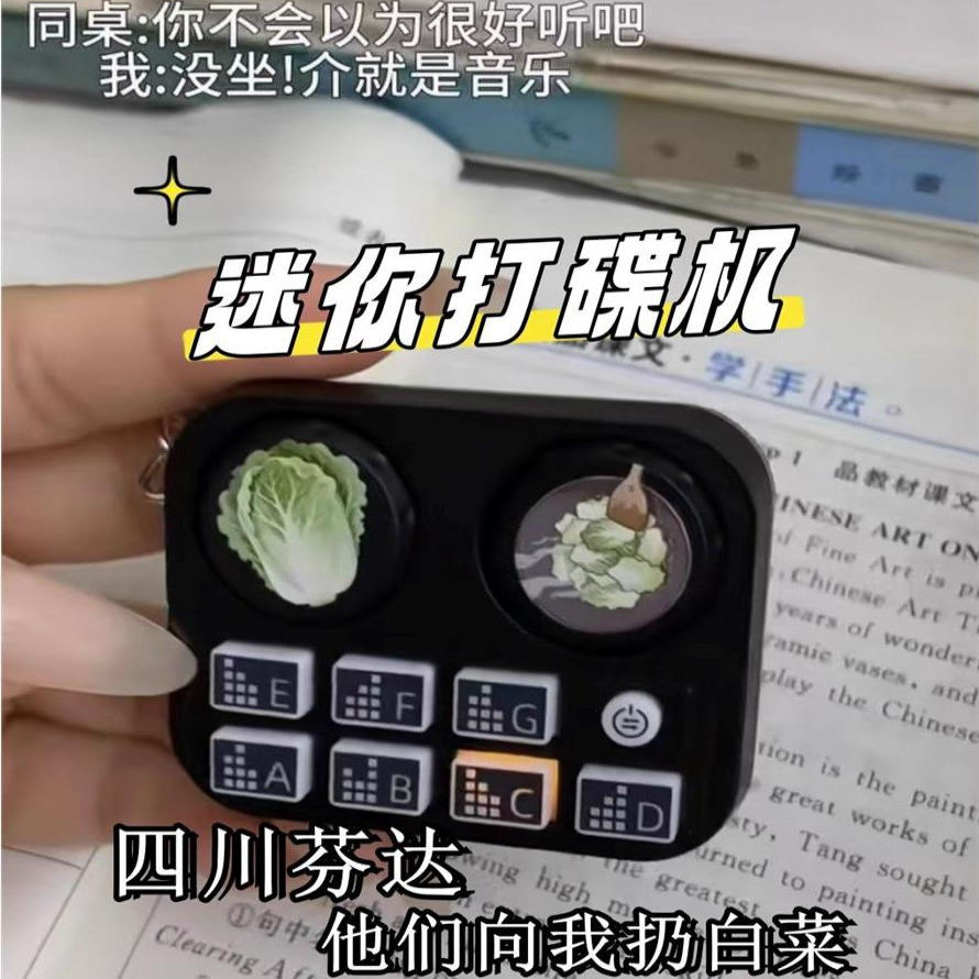 玩个很新的东西迷你打碟机四川