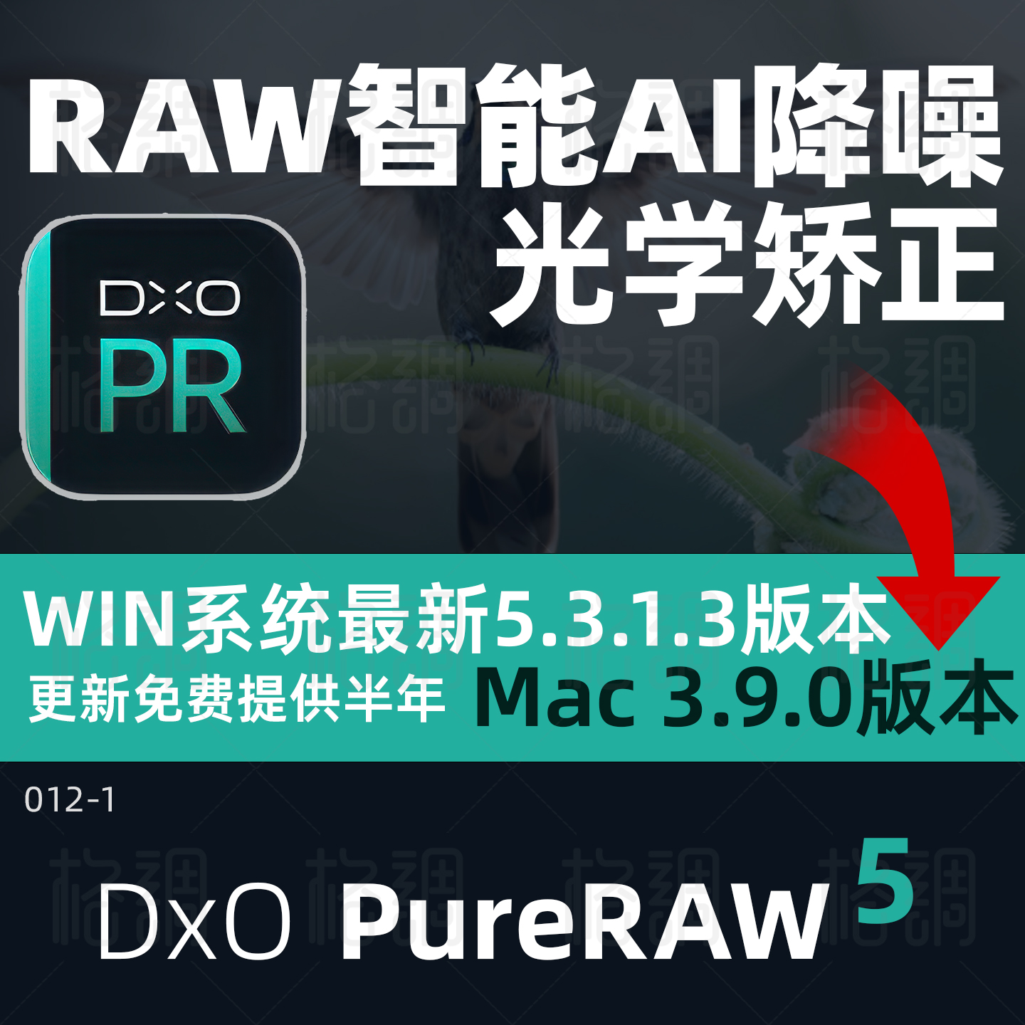 DxOPureRAW5.3.1.3中文版
