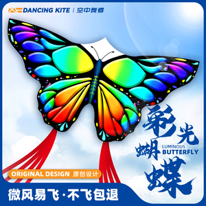 新款网红卡通彩光蝴蝶潍坊微风易飞儿童手持大人专用风筝专业级