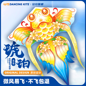 2024新款风筝网红卡通琥珀金鱼微风易飞手持线轮盘小儿童大人专用