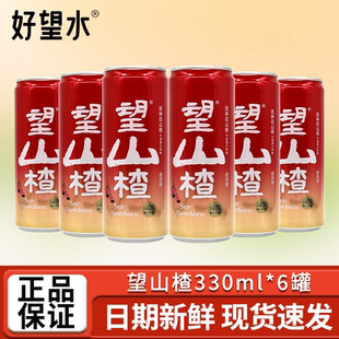 好望水望山楂洛神花山楂果汁气泡水易拉罐碳酸饮料果汁饮料便携