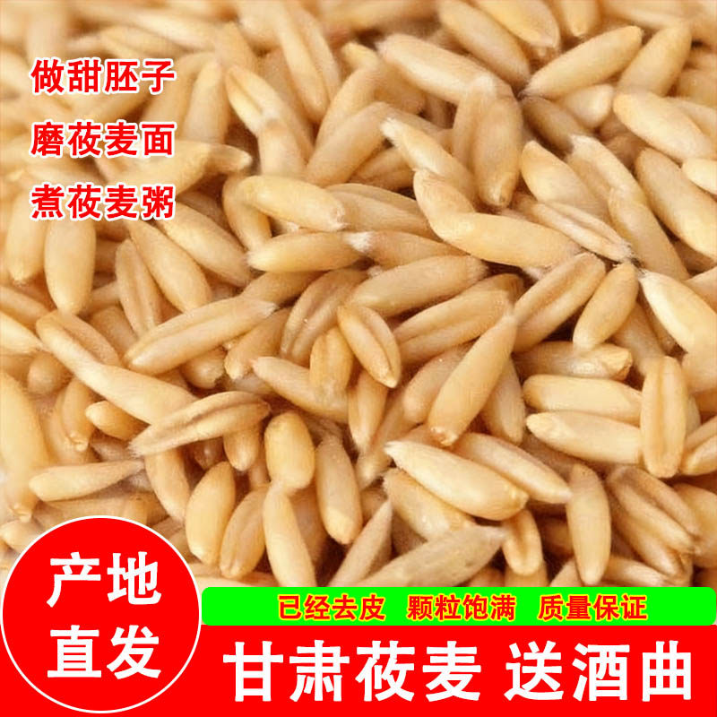 甘肃莜麦 送酒曲 做甜胚子 脱皮莜麦米 油麦玉麦 产地直发 包邮