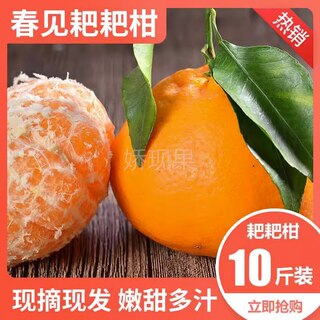 四川春见耙耙柑特级粑粑柑10斤橘子甜当季整箱新鲜水果丑柑桔包邮