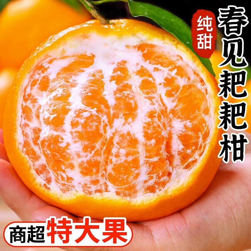 四川春见耙耙柑新鲜水果丑柑桔特级粑粑柑10斤橘子甜当季整箱包邮