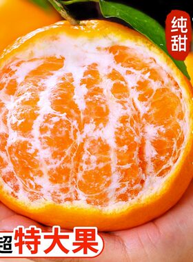 四川春见耙耙柑新鲜水果丑柑桔特级粑粑柑10斤橘子甜当季整箱包邮