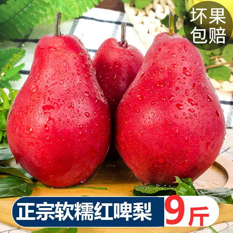 正宗红啤梨新鲜梨子水果9斤当季红皮太婆梨啤酒梨整箱批现摘