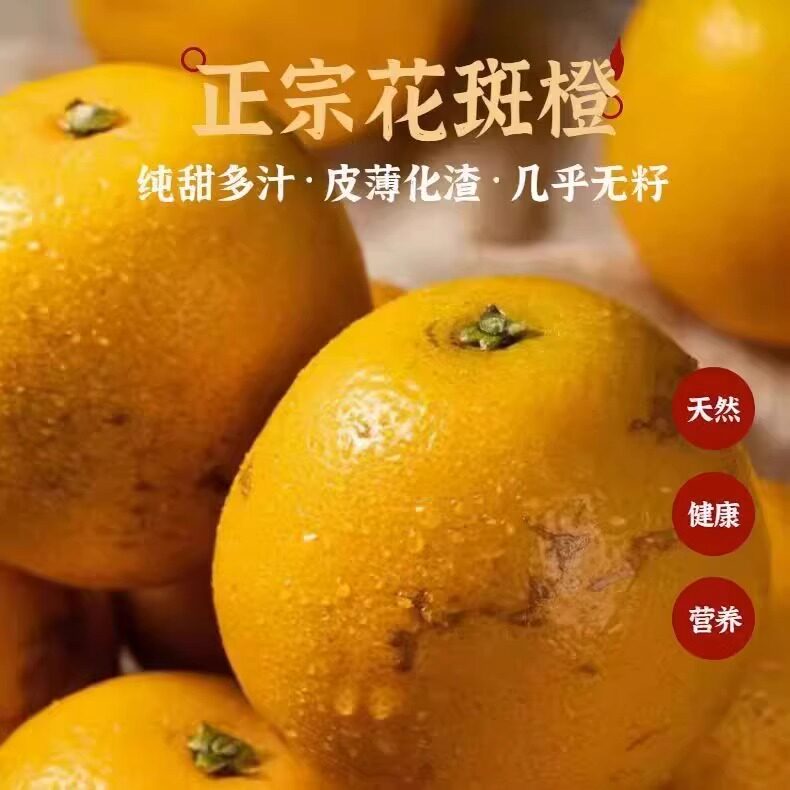 储橙花斑果云南玉溪冰糖橙10斤爆甜多汁橙字新鲜水果大果当季孕妇