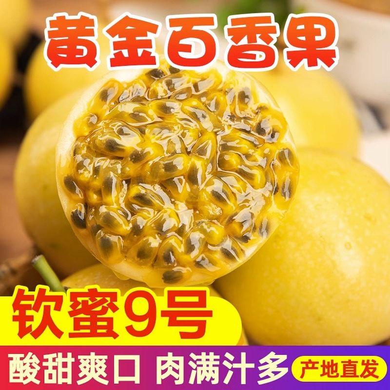 广西钦蜜9号黄金百香果新鲜水果当季整箱百香果包邮大原果浆特香