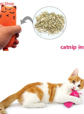 Rustle Sound Catnip Toy Cats Products for Pets Cute Cat Toys
