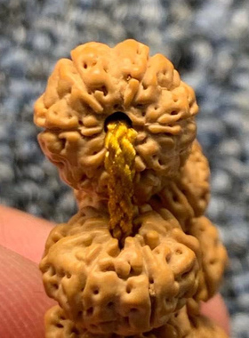 小金刚菩提子碟桩手串项链108颗梅花桩平头 爆肉原籽佛珠盘龙把玩
