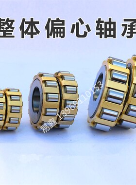 整体偏心轴承500752305 550752305