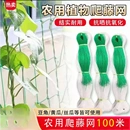 其他机械架网 园艺爬藤网种植爬藤架藤类花草山药网