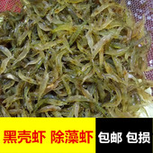 黑壳虾除藻草虾观赏虾工具清洁虾饲料虾活体水族箱鱼缸造景冷水虾