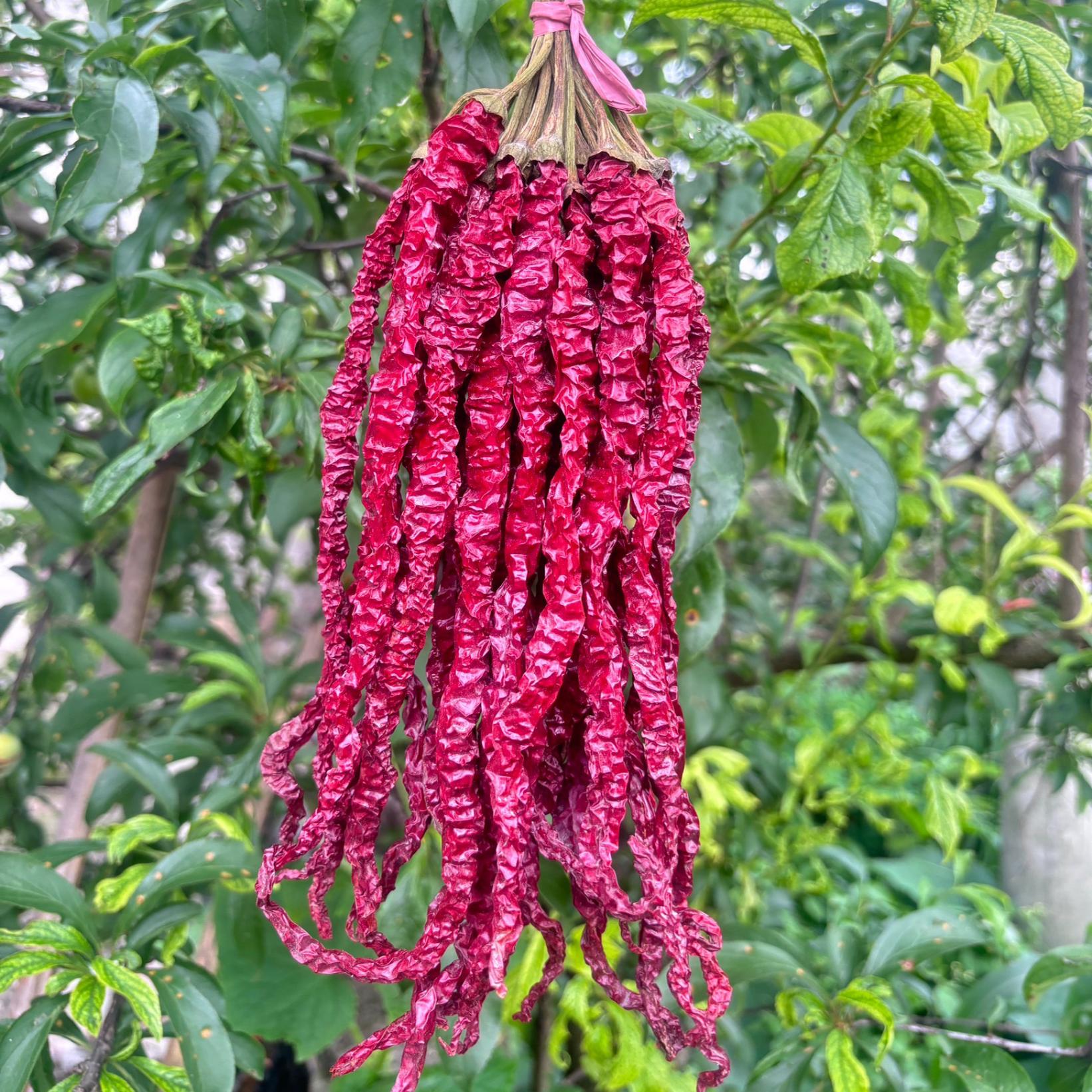 干辣椒农家自制干货特辣微辣中辣长线椒邹椒二荆条辣椒香辣干辣椒