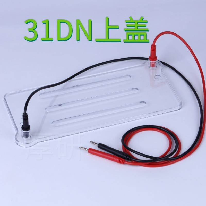 琼脂糖水平电泳槽核酸dycp-31dn通用电泳仪凝胶板加样梳子制胶器*