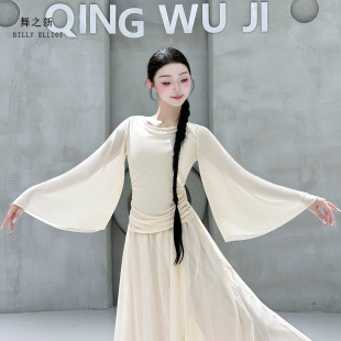 古典舞纱衣飘逸演出服中国舞练功服成人长袖网纱舞蹈上衣女款新款