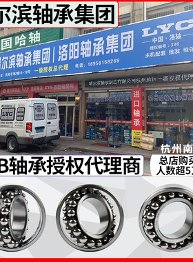 HRB 哈尔滨轴承 1308 1309 1310 1311 1312 1313 A K TN 调心球