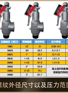 保一集团安全阀A27H-16C A28H-16C全启式安全阀储气罐蒸汽安全阀