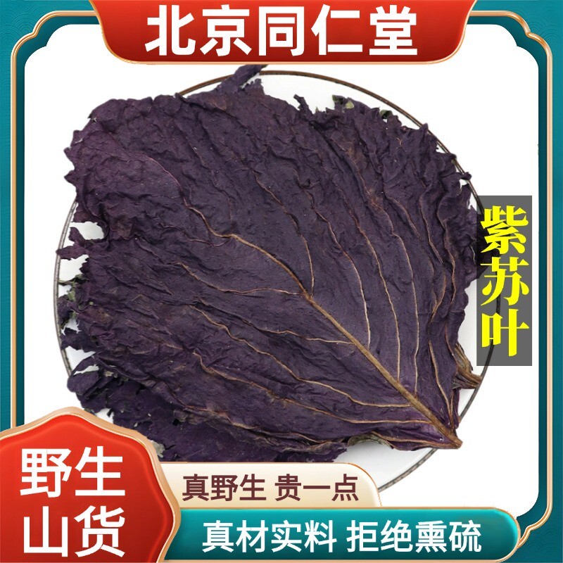 北京野生特级紫苏叶中药材头茬紫苏可食用小苏叶干正品100g