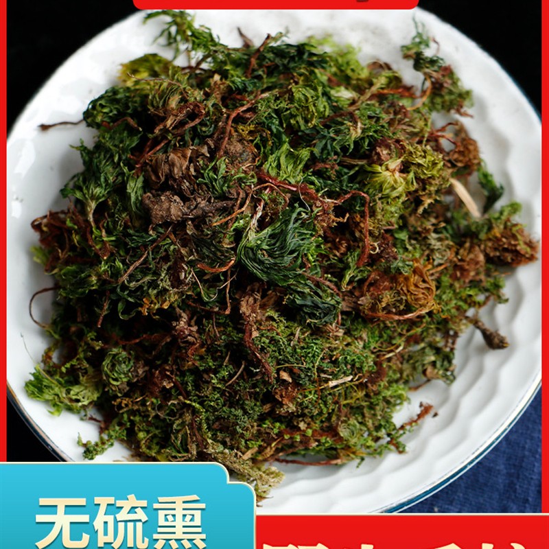 道地云南中草药回心草中药材茴心草干净清爽无灰尘大叶藓回芯草