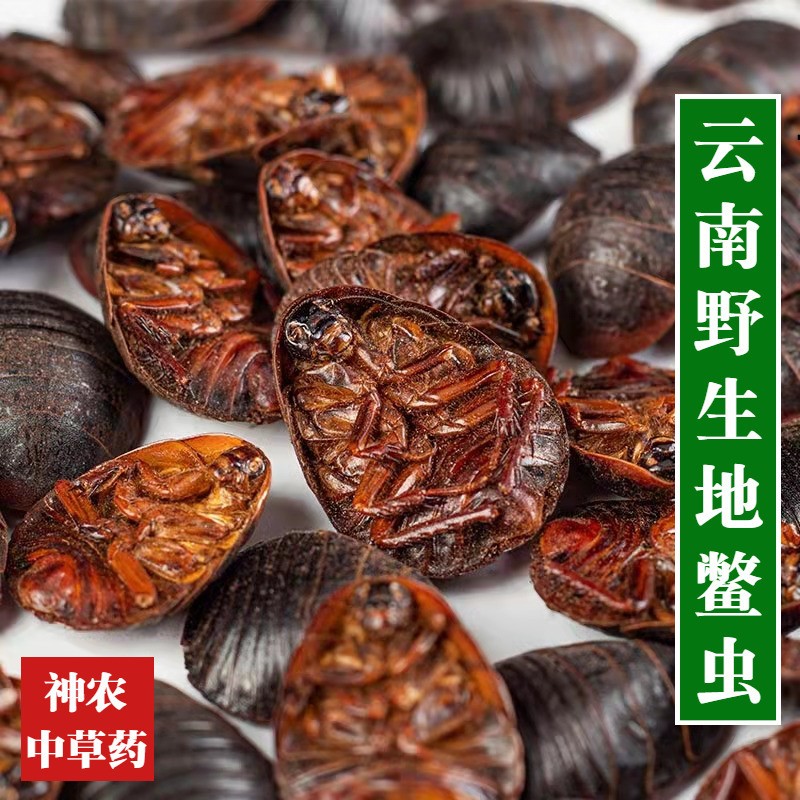 云南野生中药材土鳖虫500g精选特级正品地鳖虫泡酒料 土元可泡水