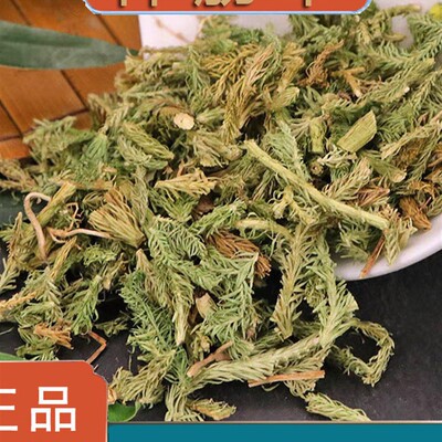 正品伸筋草中药材泡脚马尾生筋草筋骨草非野生石松狮子草小舒筋草