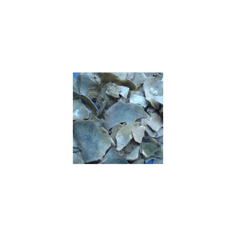 中药材 珍珠母正品 珠牡丹 珠母 真珠母 明珠母 蚌壳粉500克包邮
