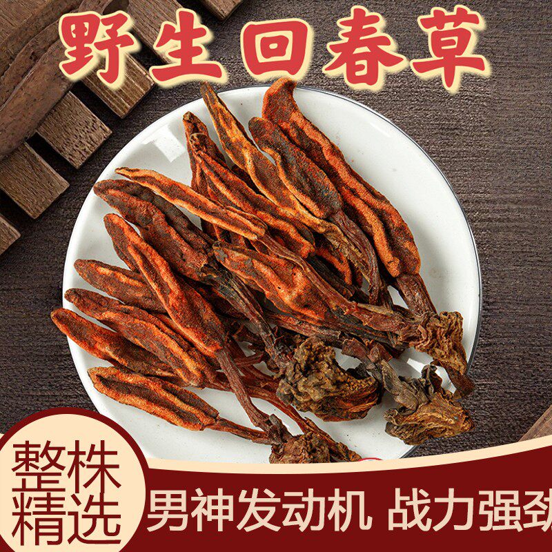 回春草野生泡酒料续阳草中药材不老草回春草顶天柱锁阳男性泡酒