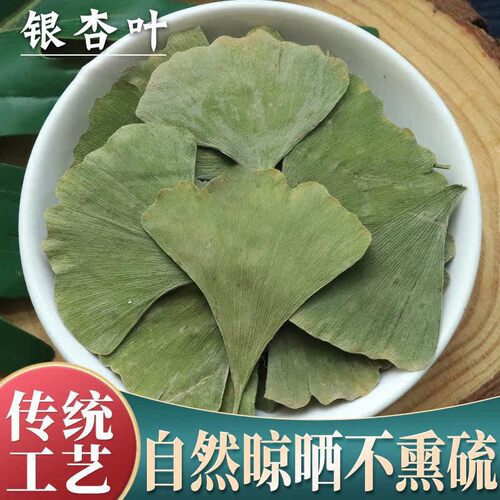 银杏叶中药材正品500g银杏叶茶新货白果树叶干银杏叶整片泡茶泡水