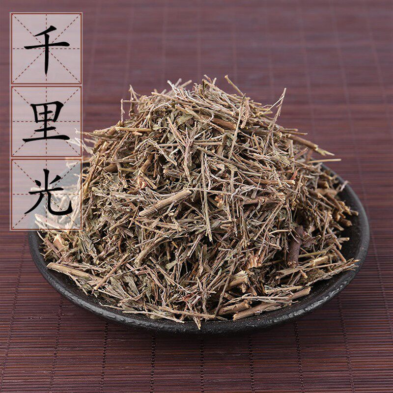 中药材供应 千里光 千里及 九里明 九领光 一扫光 500g 2件包邮