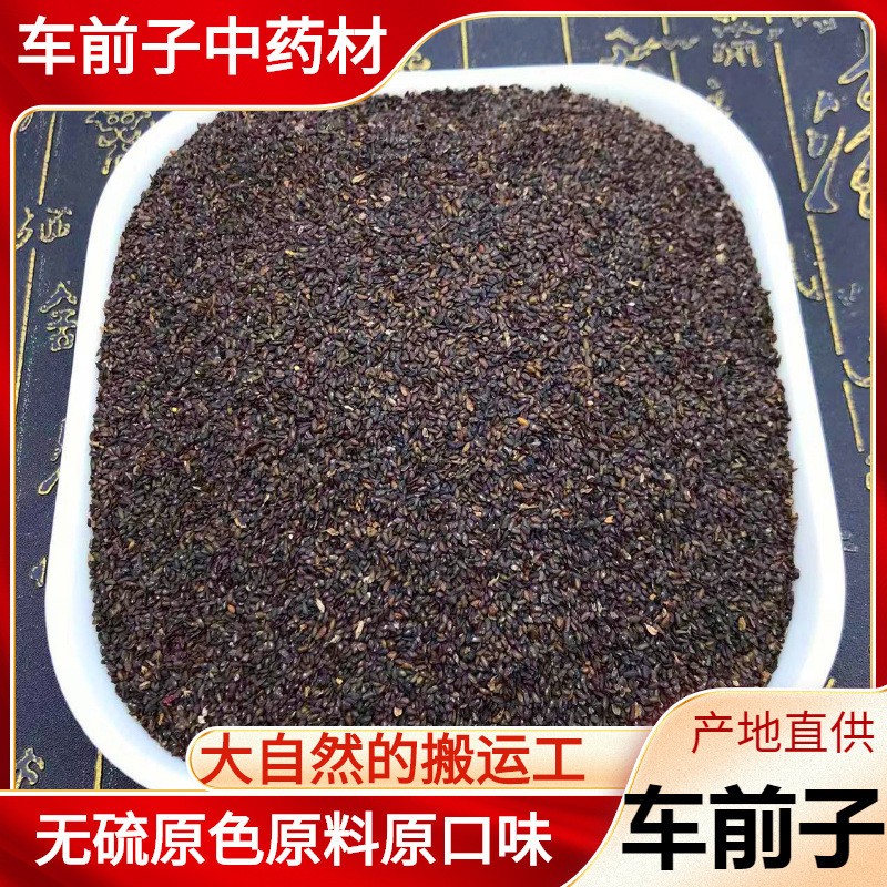 车前子中药材500g正品车前草籽搭泽泻泡水泡茶喝非野生特级