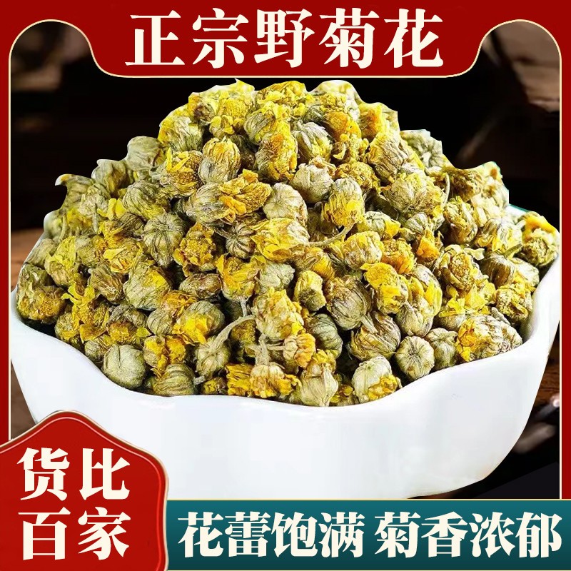 正宗秦岭野菊花中药材正品新货无硫野生菊花茶可做枕头胎菊泡水