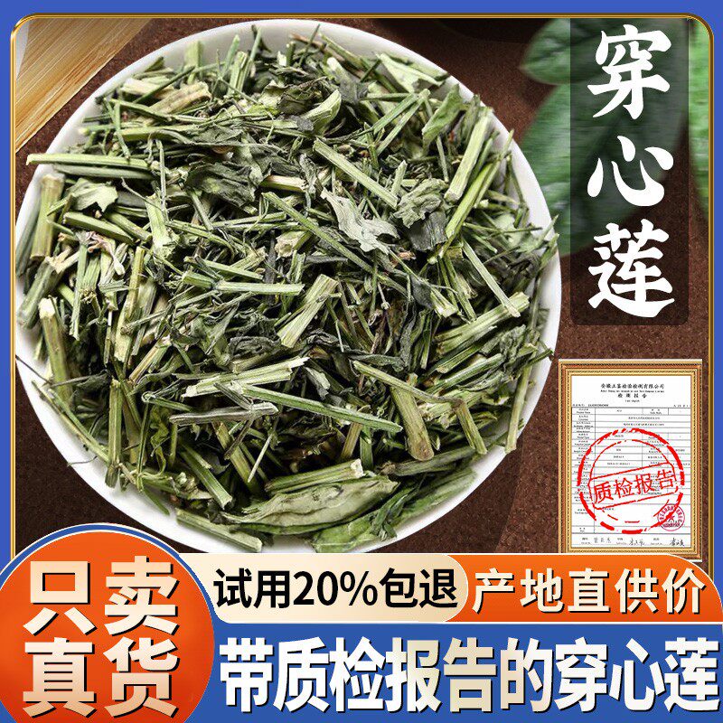 穿心莲500克 穿心莲茶穿心连一见喜川心连川心莲穿芯莲非中药材