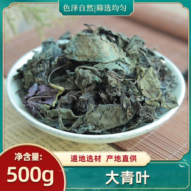 大青叶中药材500g大青叶茶中草药材无硫大青叶新鲜干货板蓝根叶子
