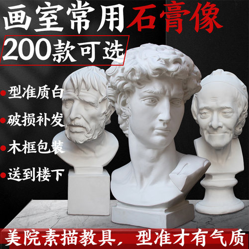 大卫石膏像全身海盗伏尔泰小卫维纳斯马赛琴女大摆件素描美术教具 - 封面