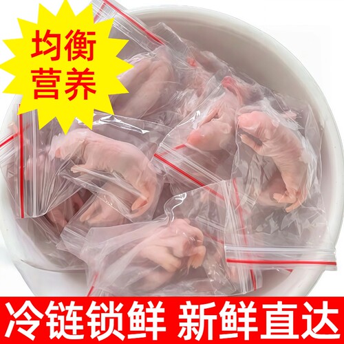 灭菌乳鼠独立包装冻白鼠喂蛇猫宠物角蛙饲料粉皮爬宠小老鼠冻鼠