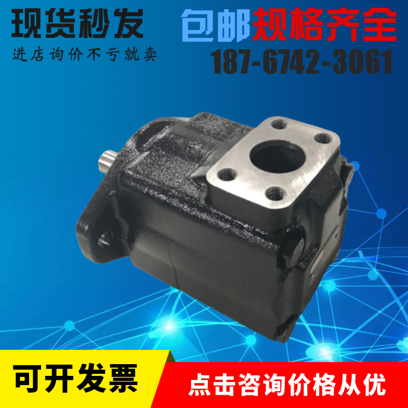 PVV2-1X/040RJ15RMB液压油泵PVV2-1X/040RJ15UEB