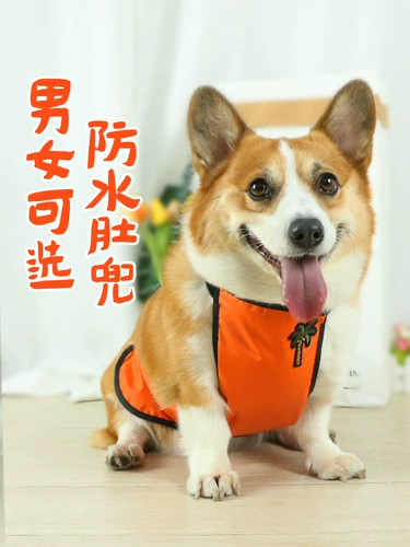 Дудоу, водонепроницаемый дождевик, флисовый удерживающий тепло осенний бандаж пупочный, анти-грязь