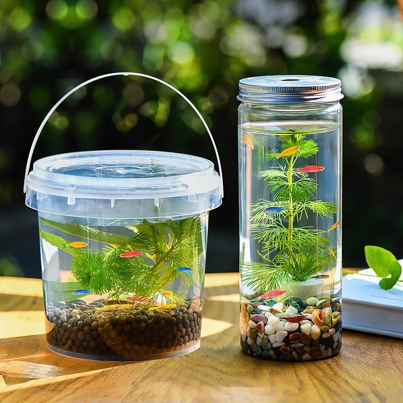 创意水族箱生态瓶微景观造景斗鱼缸免换水免打理桌面DIY造景鱼缸