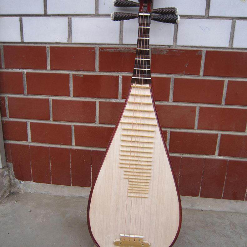 专业花梨儿童琵琶花梨木高端儿童琵琶乐器儿童红木琵琶